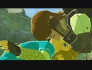 【ブレワイ(BotW)】依頼を受けて、リンクさんの体をおかしくしてみた【ドリカラ】