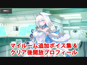 Fate/Grand Order ドブルイニャ・ニキチッチ 追加マイルームボイス集＋クリア後開放プロフィール（12/31開放分）