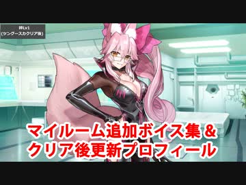 Fate/Grand Order 光のコヤンスカヤ 追加マイルームボイス集＋クリア後更新プロフィール（12/31開放分）