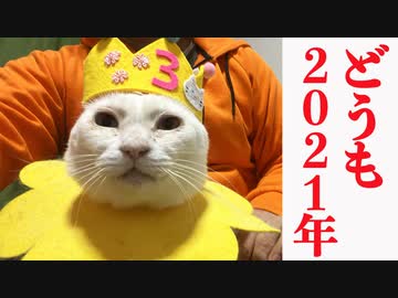 行く珍妙猫くる珍妙猫、どうもどうもの2021年