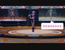 PSO2NGS ノーボーダーをフリーダムに踊ろう　解説
