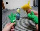 セキセイインコ　うなばら丸ＶＳ菌軍団