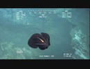 ホモと見る　海底のUMA