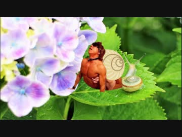 たくやのかたち