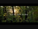 fauna and flora (feat.闇音レンリ) - NOEΓ