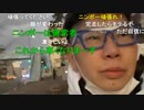 【コメント有】ニンポー 2021年12月31日16時43分 ひたすら歩く ①【ニコ生録画】