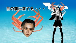 神っぽい奴に煽られるカニドラアサシン