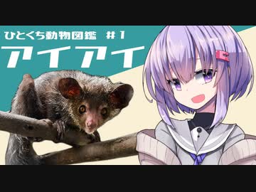 ひとくち動物図鑑　#１　アイアイ　[VOICEROID解説]