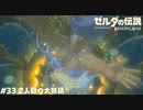 2人目の大妖精【ゼルダの伝説BotW】 #33