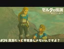 貴方だって不死身じゃないんですよ？【ゼルダの伝説BotW】 #34