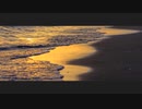 Non - 愛の意味を忘れてしまった feat. 初音ミク
