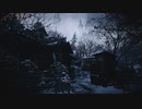 ネギのゲーム実況　BIOHAZARD VILLAGE Z Version　#002　｢Lycan｣