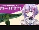ひとくち動物図鑑　#２　ガーパイク　[VOICEROID解説]