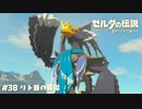 リト族の英傑【ゼルダの伝説BotW】 #38