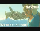 ヴァ・メドー攻略戦【ゼルダの伝説BotW】 #39