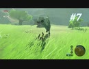 【ゼルダの伝説BotW】実況プレイ-part7-