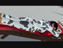 【DoaX3/紅葉】ビーチでフォトパラダイス 紅葉 アロマG  010112