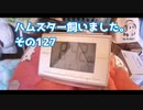 ハムスター飼いました。その127～ハムスターくんと2022年最初の朝～