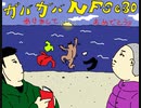 ガ　バ　ガ　バ　N　F　S　C　３　０