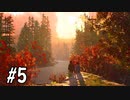 【実況】森の夜闇は優しいか【Life is Strange2】part5