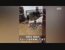 五輪の為に凍え死ね ・ 河北省で石炭禁止令