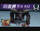 【ゆっくり実況】回復縛りでMHXXプレイ集会所編part12