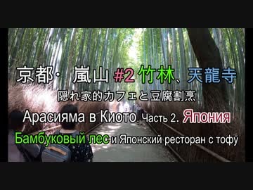 嵐山#2 竹林 Арасияма в Киото. часть 2: Бамбуковый лес и Лес кимоно, японский ресторан и сад 嵐山の隠れ家的料亭、茶寮