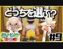 ポケットモンスターLet’s GO D社Part9