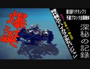時代親父でハイカラ少女なパンジャン動画【第5回P1グランプリ】