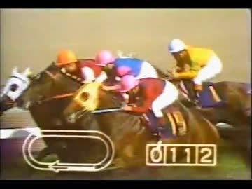 競馬 ウマ娘じゃ学べない もう一つの最強世代 花の47年組 とタイテエムについて マツウラ Note