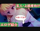 一分で分かる玄人向けエロゲ紹介3作 Part2