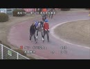 ＧＲＡＮＤ ＰＲＩＸ 第52回高知県知事賞 パドック～本馬場入場