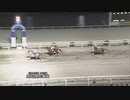 ＧＲＡＮＤ ＰＲＩＸ 第52回高知県知事賞 グリードパルフェ