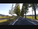 自転車で600km 2021BRM1030中部600