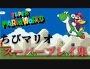 【マリオワールド】small only スーパープレイ