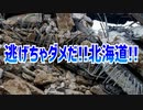 逃げちゃダメだ!!北海道!!