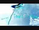 【Saki AI】　Tears & Snow　【Synthesizer V】