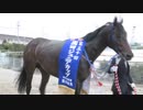 第50回園田ジュニアカップ レース回顧