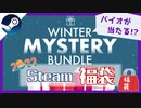 【Steamゲーム福袋】バイオハザードが当たるかも!?新年1発目の運試し！【ファナティカル/Winter Mystery Bundle】