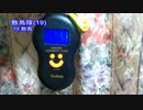 今年最初の体重測定【蒼民家の猫々】
