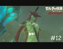 ゾーラの里へ向かうゾ！【ゼルダの伝説 ブレスオブザワイルド マスターモード】#12