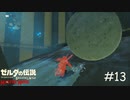 落石注意【ゼルダの伝説 ブレスオブザワイルド マスターモード】#13
