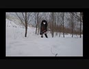The Storyteller - Ambush　弾いてみた　おかまが