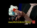 DNA切断技術