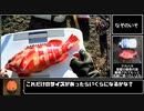 暇つぶしフィッシング part22