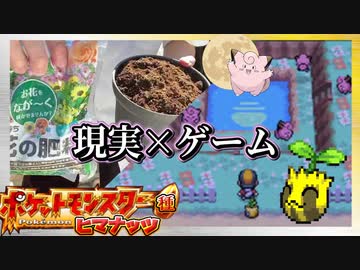 【実況】ヒマナッツが瀕死になったら「現実でひまわりを育てる」縛り（Part㉖）