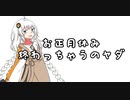 脳みそ溶かしたマスター代理のあかりちゃん【ソフトウェアトーク雑談】