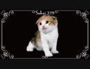 【学校であった怖い話S】滑舌の悪さを直す為に朗読＆実況プレイ Part128