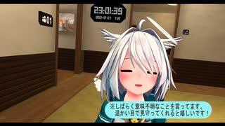 【初投稿】はじめまして！飼犬たろーです！【自己紹介？】