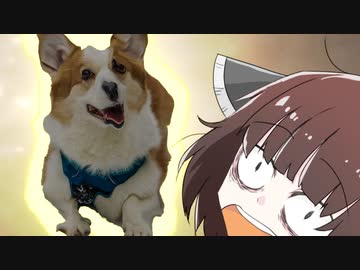 ぼんやりきりたんゆめにっき　ぱーと14.5【正月短編】（VOICEROID劇場）